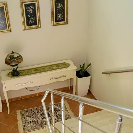 Ana's House
