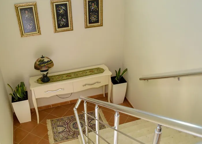 Ana's House